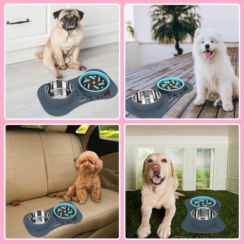 Slow Feeder Dog Bowls 3 in 1 Stainless Steel Food Water Bowl to Slow Eating