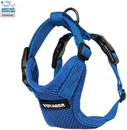 Best Pet Supplies Voyager Step-in Lock Pet Harness w Reflective Pet Leash Combo Set with Neoprene Handle 5ft - Supports Small, Medium and Large Breed Puppies/Cats - Royal Blue, XXXS