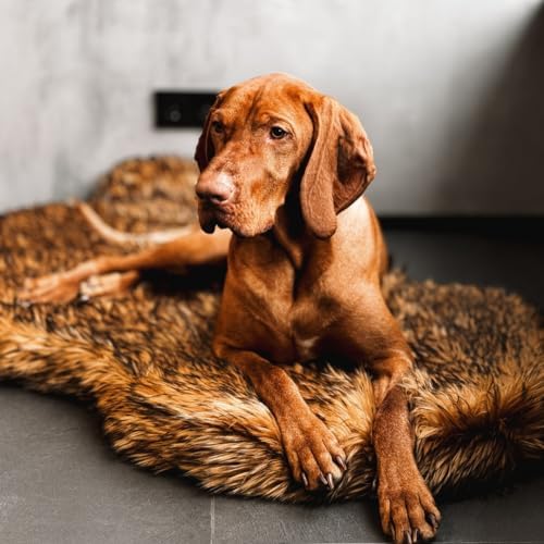IHAPPYDOG Faux Fur Orthopedic Dog Bed, Memory Foam, Brown 60"x35"