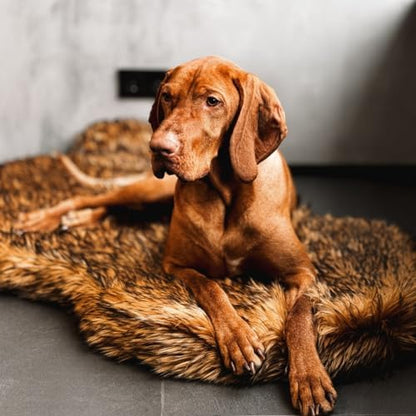 IHAPPYDOG Faux Fur Orthopedic Dog Bed, Memory Foam, Brown 60"x35"