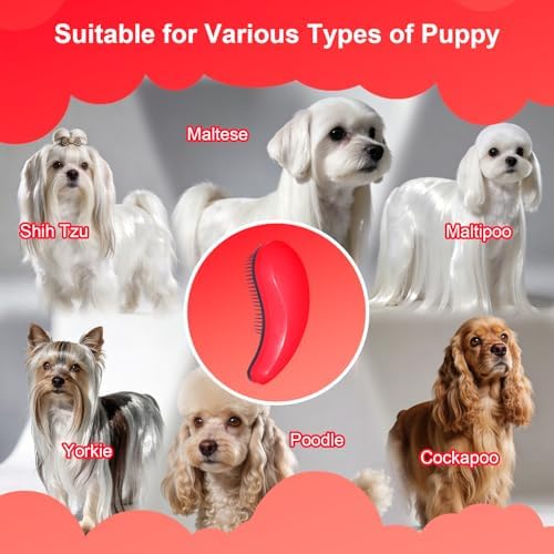 Small Dog Brush, Skin-friendly Soft Bristles (Rose Red)