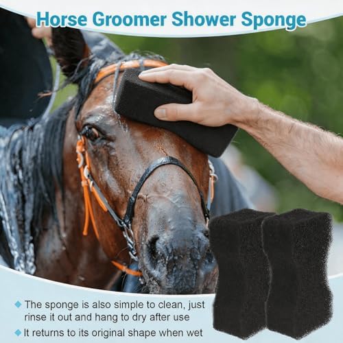 JCZ Horse Sponges for Bathing & Washing, 2.16 inch Thick - 3 Pcs