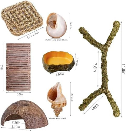 Hermit Crab Accessories – 8PCS Natural Hermit Crab Toys Climbing Bridge, Shells, Coconut Hideout, Moss and Plants for Hermit Crabs Habitat & Reptile Tank Decor