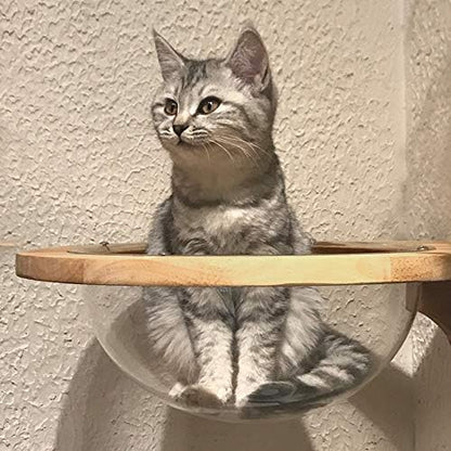 Wall-mounted Wooden Cat Space clear Capsule Cat Bed Small Pets Bed Cat Toy Cat Furniture(Large Capsule)