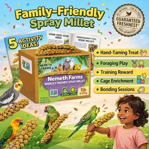 Nemeth Farms Spray Millet - Edible Tops Only, Non-GMO and Sun-Dried - 1 lb for Parakeets, Canaries and Finches
