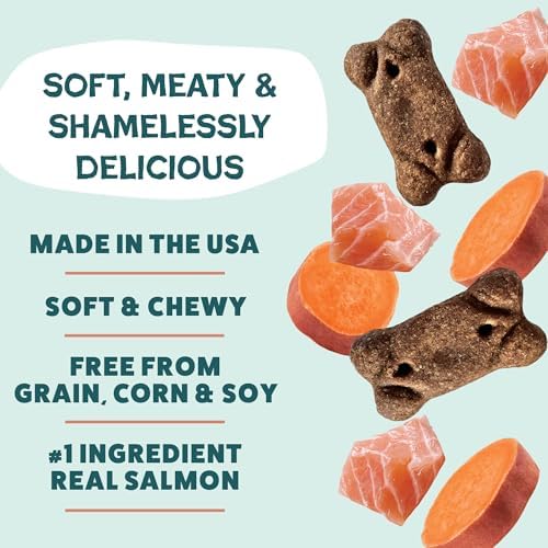 Shameless Pets Reelin' Salmon Meaty Tenders, Soft Dog Treats, 1.5lb