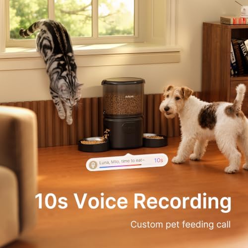 Automatic Cat Feeder for 2 Cats, Dual Cat Feeder with 5G WiFi APP