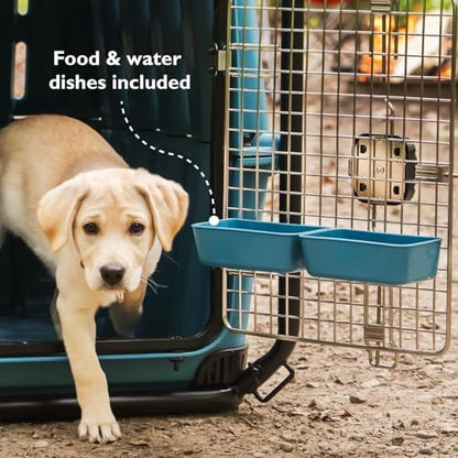Mammoth Guardian Dog Kennel 36" Heavy Duty Travel & Outdoor Crate for Puppies, Small, Medium & Large Dogs, Secure 3 Bolt Lock, Adventure Ready for Hunting, Camping & Offroad – Lagoon Blue Kennel