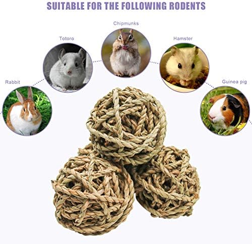 10 Pcs Small Animals Play Balls Rolling Activity Chew Toys Gnawing Treats for Rabbits Guinea Pigs Chinchilla Bunny Natural Balls, Pet Cage Entertainment Accessories(10Pcs)