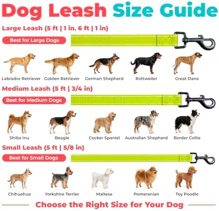 Best Pet Supplies Voyager Nylon Dog Leash - Lime Green, Medium
