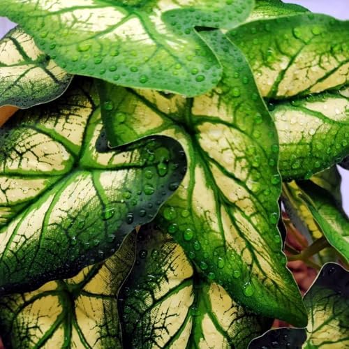 Reptile Plants for Terrarium, Reptile Tank Decor,Artificial Plants