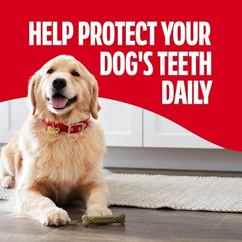 Milk-Bone Brushing Chews Fresh Mint Flavor Daily Dental Dog Treats, Large, 24.2 Oz. Bag (Pack of 5)