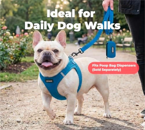Best Pet Supplies Voyager Nylon Dog Leash - 6ft Royal Blue, Large