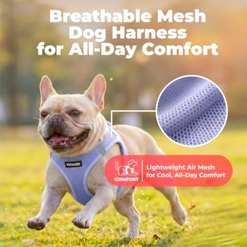 Voyager Step-in Air Dog Vest Harness - Lavender, X-Large