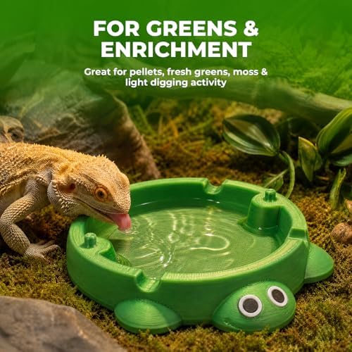 Bearded Dragon Dig Box & Tank Accessory, Turtle Small Reptile Food Dish
