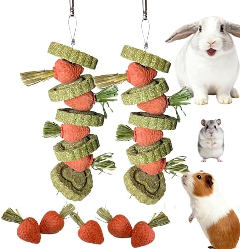 Bunny Chew Toys Guinea Pig Chew Toys for Teeth Grinding Rabbit Treats Natural Timothy Grass Cake Strawberries for Guinea Pigs Chinchillas Bunny Hamster (2 Pcs)