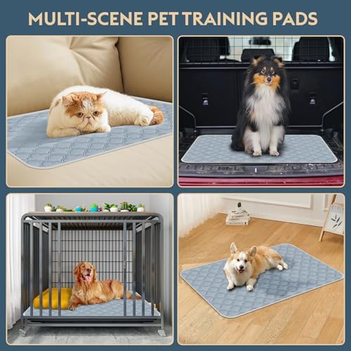 FunFurry Washable Pee Pads for Dogs - 1 Pack Reusable Pee Pads，Waterproof Puppy Pads，Pet Training Pads，Super Absorbent with Dog Paw Shape Non-Slip Backing (Light Grey, 48" X 65" - 1 Pack)