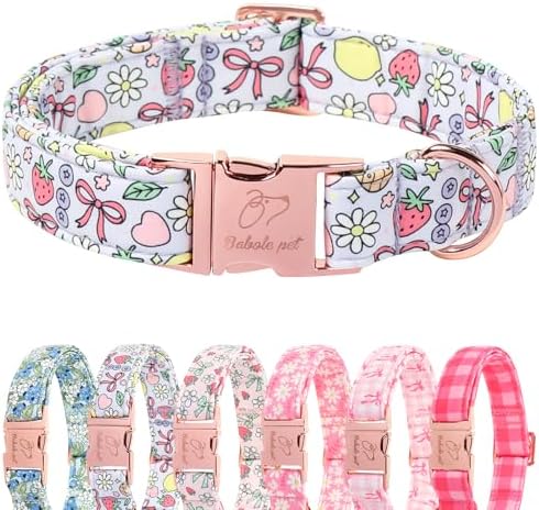 Cute Dog Collar, Spring Summer Pastel Dog Collars, Fruit Garden Dream Puppy Collar, Adjustable Heavy Duty Pet Collar for Small Medium Large Dogs with Metal Buckle L