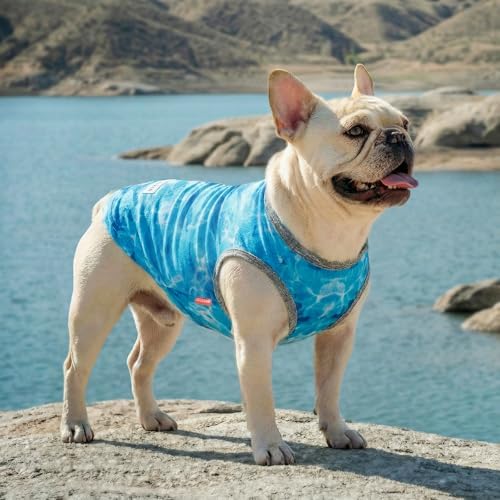 KYEESE 2Pack Dog Shirt for Small Dogs Soft Breathable T-Shirts, Polar Bear
