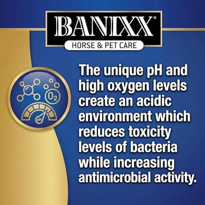 BANIXX Horse and Pet Care Spray for Horses, Dogs and Cats, Daily Skin and Coat Care Spray, Alcohol-Free, Non-Staining, No Odor, Made in USA, Grooming and Hoof Care Formula, 8 oz