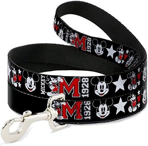 Disney Dog Leash