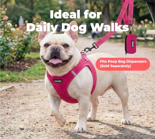 Best Pet Supplies Voyager Nylon Dog Leash - Fuchsia, Large