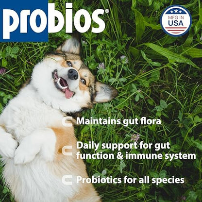 Probios Digestive Support Powder for Pets, 240 g