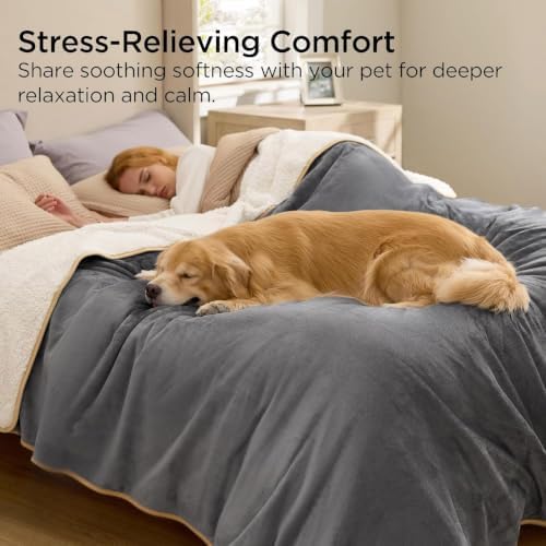 Bedsure Waterproof Blanket for Bed Soft Sherpa Fleece Throw,Twin 80"x60"