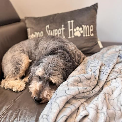 SPOT Snuggler Bones Blanket - Ultra Soft, Machine Washable Dog Blanket for Beds, Furniture Protection, Travel, and Crates - 40 x 60 inch, Grey Fleece Throw with Bone Print Design