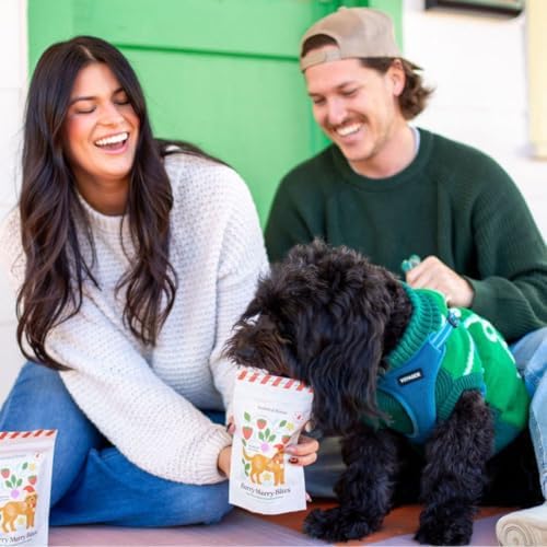 Berry Merry Organic Dog Treats – Vegan, Wheat-Free, Peanut Butter Heart Crunchy Cookies – Holiday Dog Treats, All-Natural & Baked in USA, Pumpkin, Peanut Butter, & Strawberry – 5oz (2-Pack)
