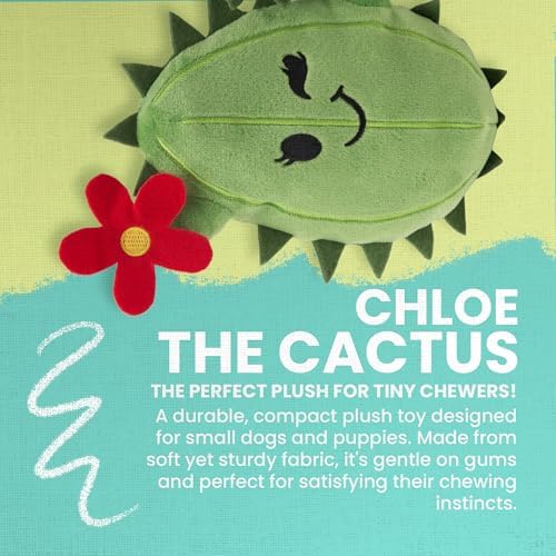 Snugarooz Chloe the Cactus Plush Toy with Repair Patch – Soft, Durable Squeaky Dog Toy for Small and Medium Breeds – Ideal for Chewing and Tugging – Sustainable Materials