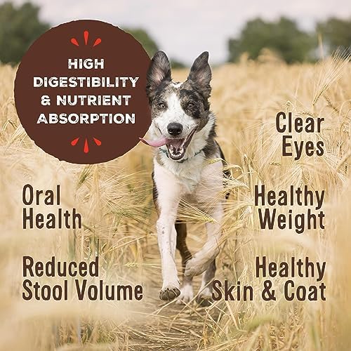 Primal Freeze Dried Raw Dog Food Nuggets, Duck, Complete & Balanced Meal, Also Use as Topper or Treat, Premium, Healthy, Grain Free, High Protein Raw Dog Food, 14 oz