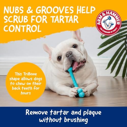 Arm & Hammer Nubbies T-Bone Dental Dog Chew Toy, Peanut Butter Flavor