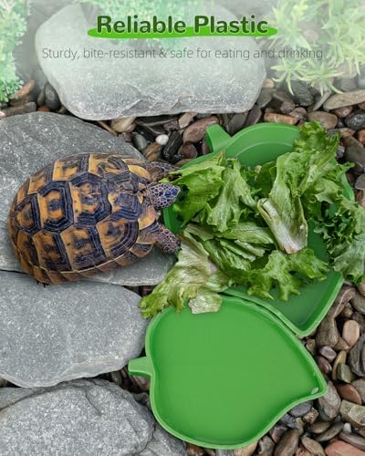 Pawfly 4 Pcs Leaf Reptile Water Dish, Reptile Water Bowl, Tortoise Habitat Accessories, Bearded Dragon Water Bowl, Pet Food Feeding Plate for Turtle Small Snake Lizard, 2 Sizes