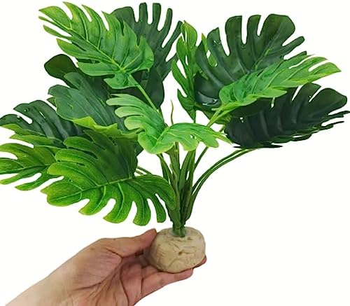 Reptile Plants for Terrarium Decor,Leopard Gecko Tank Plants