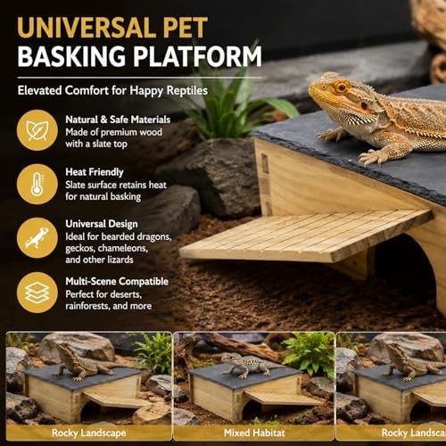 Bearded Dragon Basking Platform & Hideout, Natural Slate Rock Reptile Hide