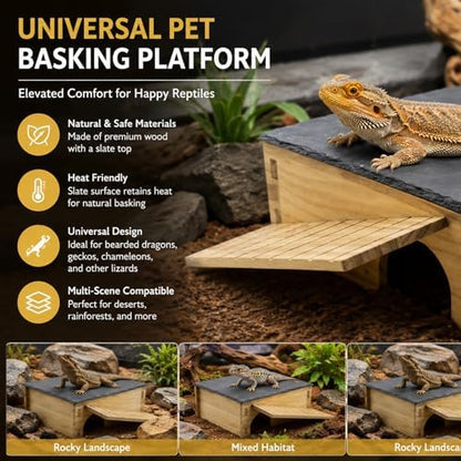 Bearded Dragon Basking Platform & Hideout, Natural Slate Rock Reptile Hide