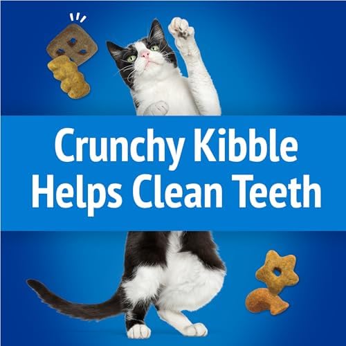 Friskies Purina Party Mix Beachside Crunch Cat Treats, 20 oz Pouch