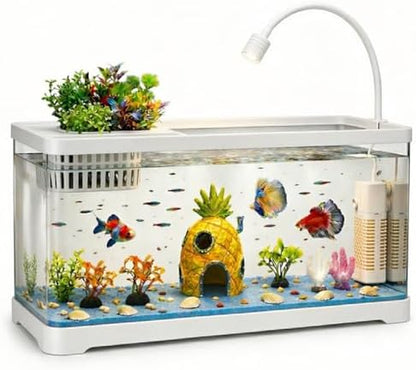5 Gallon Fish Tank Aquarium Starter Kit with Filter and Light(Large White)