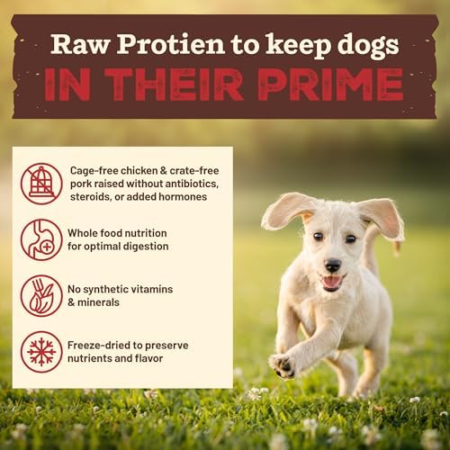 Primal Kibble in The Raw, Freeze-Dried Dog Food, Puppy Recipe, 9 lb