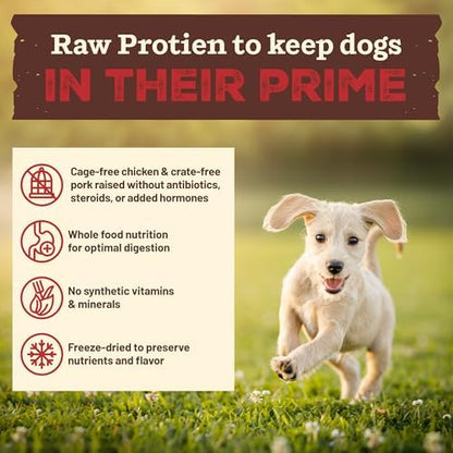 Primal Kibble in The Raw, Freeze-Dried Dog Food, Puppy Recipe, 9 lb
