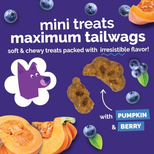 Fruitables Skinny Minis Soft & Chewy Dog Training Treats, Low Calorie Pumpkin & Berry Recipe, Bite-Sized Rewards for Puppies & Adult Dogs, No Wheat Corn or Soy, Made in USA, 20 oz