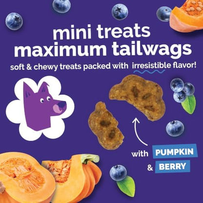 Fruitables Skinny Minis Soft & Chewy Dog Training Treats, Low Calorie Pumpkin & Berry Recipe, Bite-Sized Rewards for Puppies & Adult Dogs, No Wheat Corn or Soy, Made in USA, 20 oz