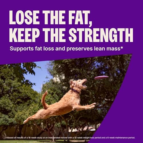 Wellness CORE Healthy Weight Adult Dry Dog Food, Grain Free Kibble, Natural, High Protein, Turkey and Chicken Recipe, 4 lb Bag