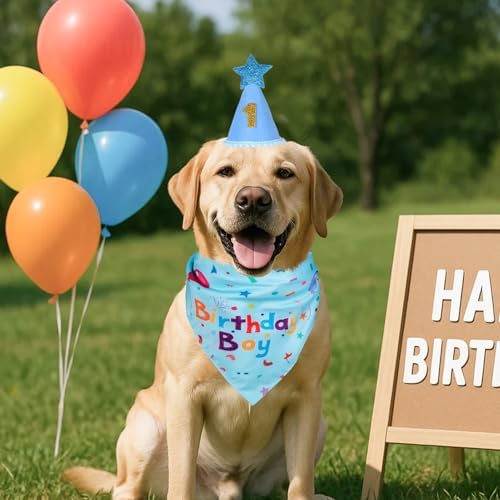 Dog Boy Birthday Party Hat,Dog Birthday Party Supplies,Dog Bandana