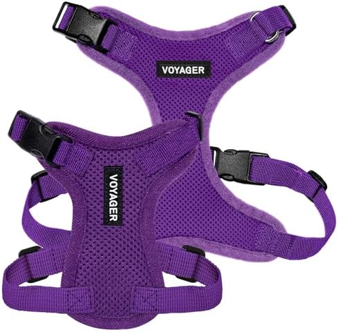 Voyager Step-in Lock Dog Harness - Purple, Small