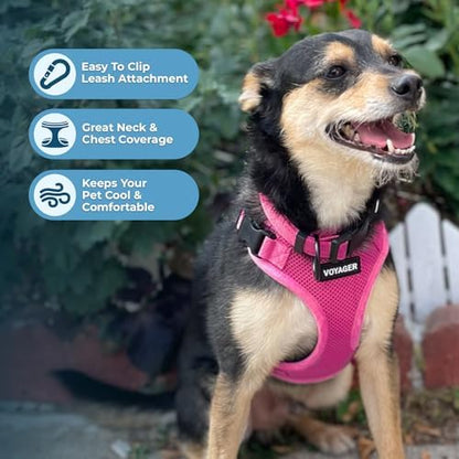 Voyager Step-in Lock Dog Harness - Fuchsia, Small