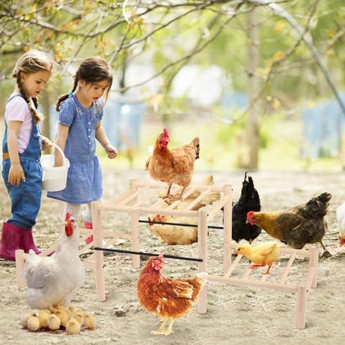 Chicken Perch, Natural Beech Wood Roosting Ladder for Poultry