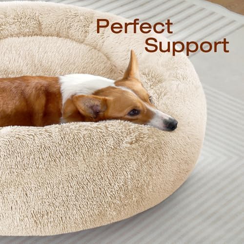 JOLLYVOGUE Dog Bed, Calming Anti-Anxiety Large Dog Bed, Fluffy Donut Cushion for Medium and Large Pets (27")
