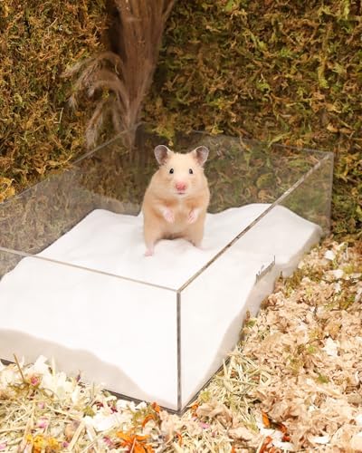 Niteangel Hamster Desert Bath Sand: 2.5lb/40oz No-Dust Bath & Easy to Clump